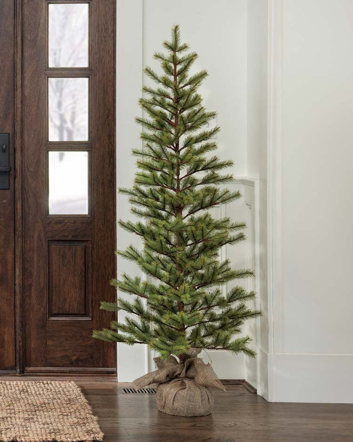Christmas Trees