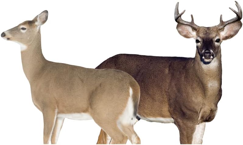 Montana Decoy Dream Team Buck and Doe
