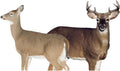 Montana Decoy Dream Team Buck and Doe