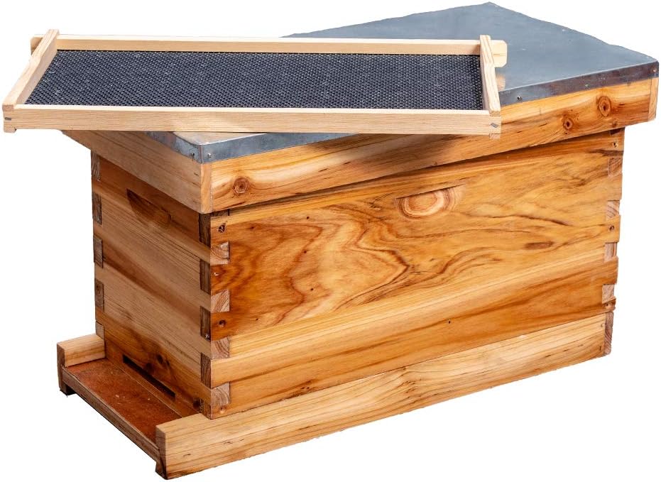 5-Frame Nuc Beehive Box for Beekeeping Complete Bee Hive Nuc Box Kit Dipped in Beeswax Includes 5 Wooden Frames & Heavy Wax Coated Foundations