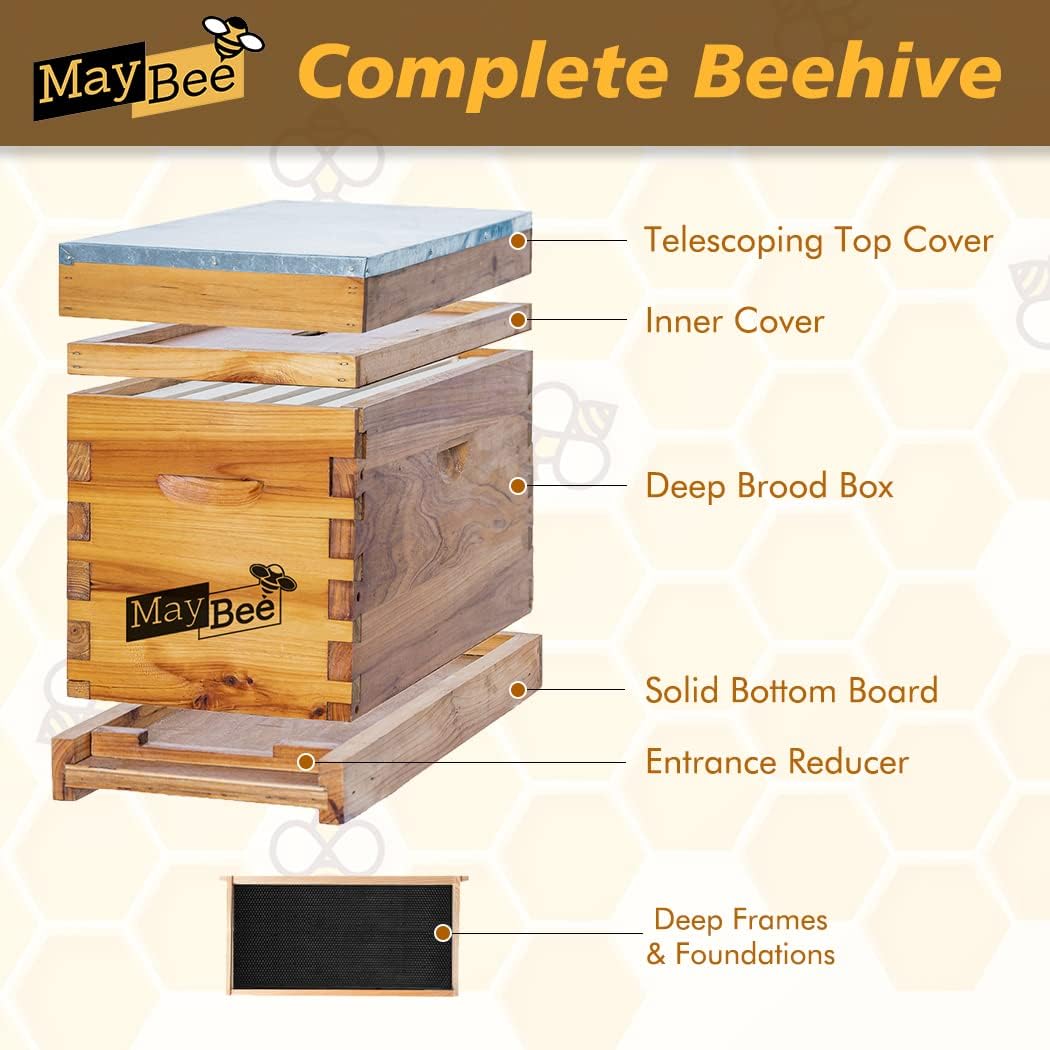 5-Frame Nuc Beehive Box for Beekeeping Complete Bee Hive Nuc Box Kit Dipped in Beeswax Includes 5 Wooden Frames & Heavy Wax Coated Foundations