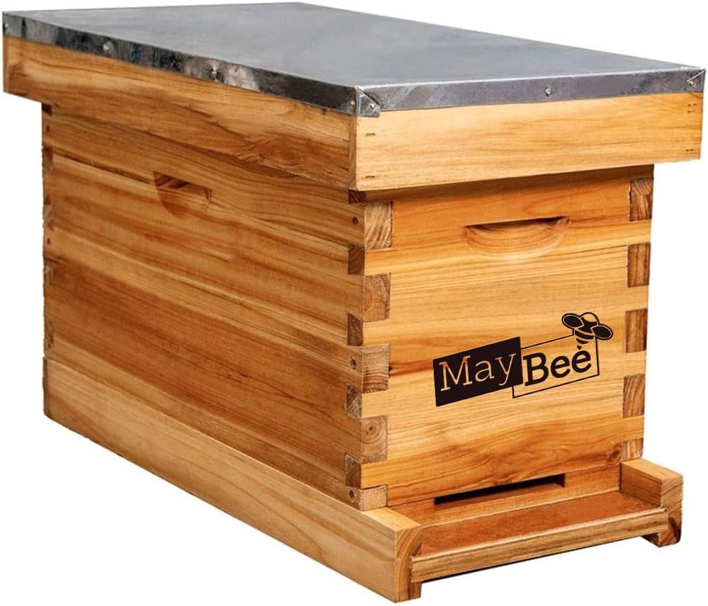 5-Frame Nuc Beehive Box for Beekeeping Complete Bee Hive Nuc Box Kit Dipped in Beeswax Includes 5 Wooden Frames & Heavy Wax Coated Foundations