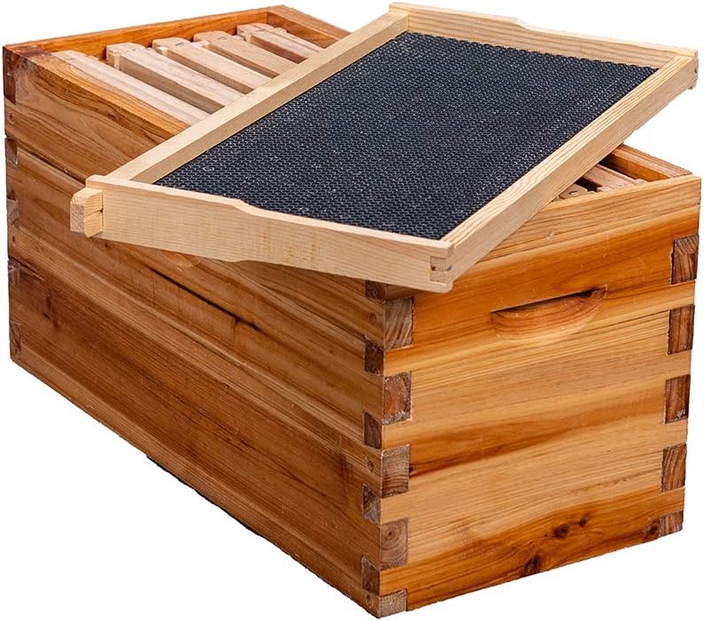 5-Frame Nuc Beehive Box for Beekeeping Complete Bee Hive Nuc Box Kit Dipped in Beeswax Includes 5 Wooden Frames & Heavy Wax Coated Foundations