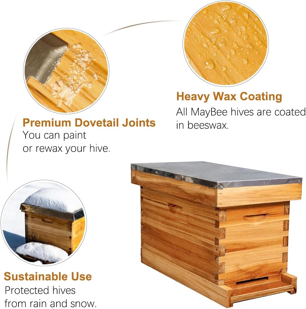 5-Frame Nuc Beehive Box for Beekeeping Complete Bee Hive Nuc Box Kit Dipped in Beeswax Includes 5 Wooden Frames & Heavy Wax Coated Foundations