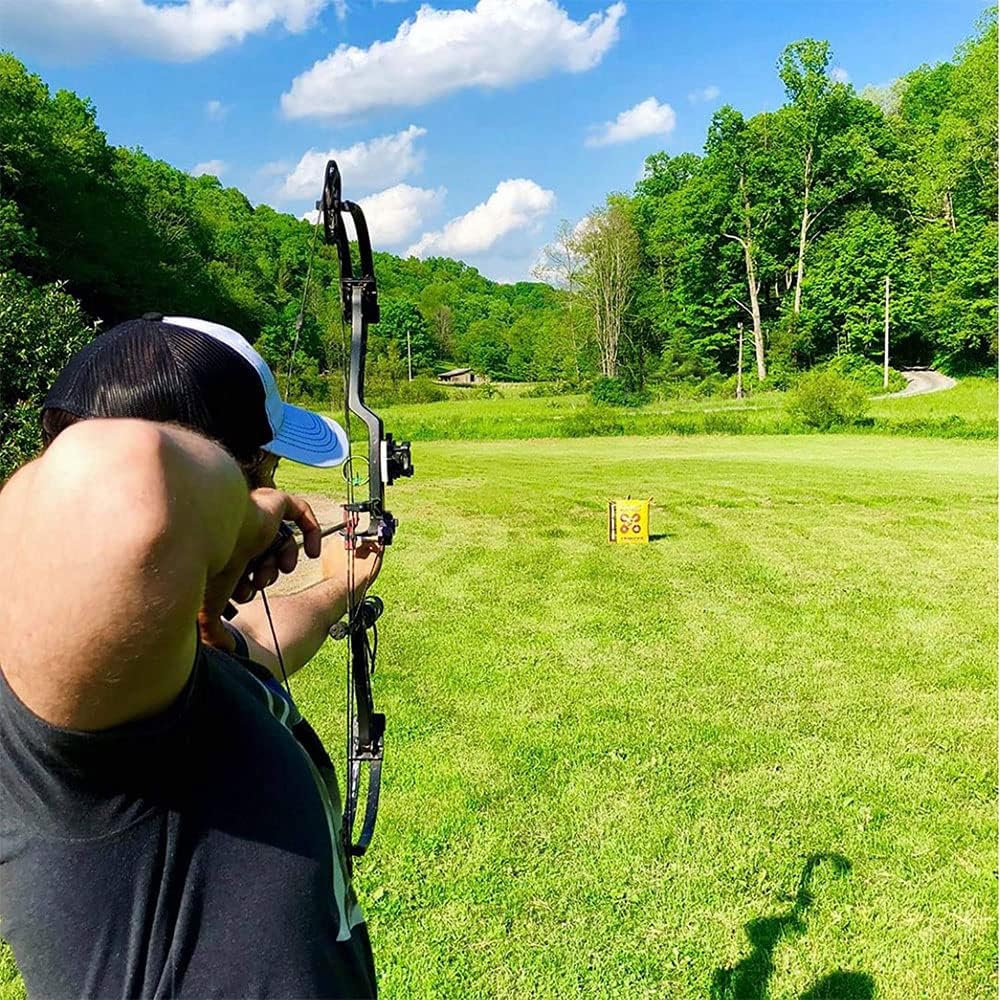 Morrell Yellow Jacket Stinger, Field Point Archery Target with 2 Shooting Sides & 10 Bullseyes - Portable Backyard Hunting Practice Bag with E-Z Tote