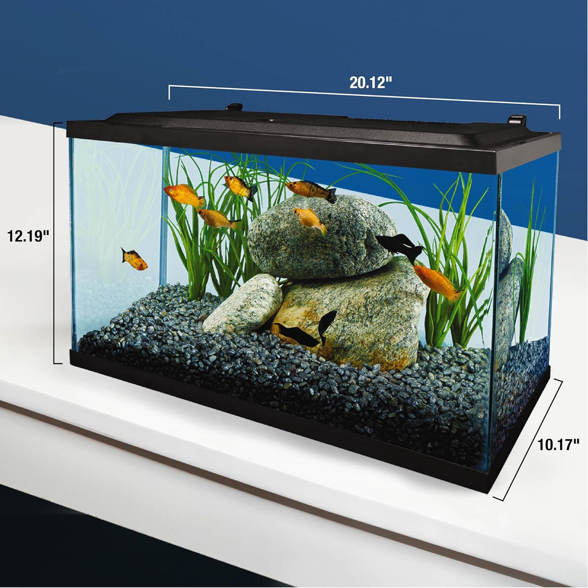 Tetra LED 10 Gallon Complete Fish Tank Kit