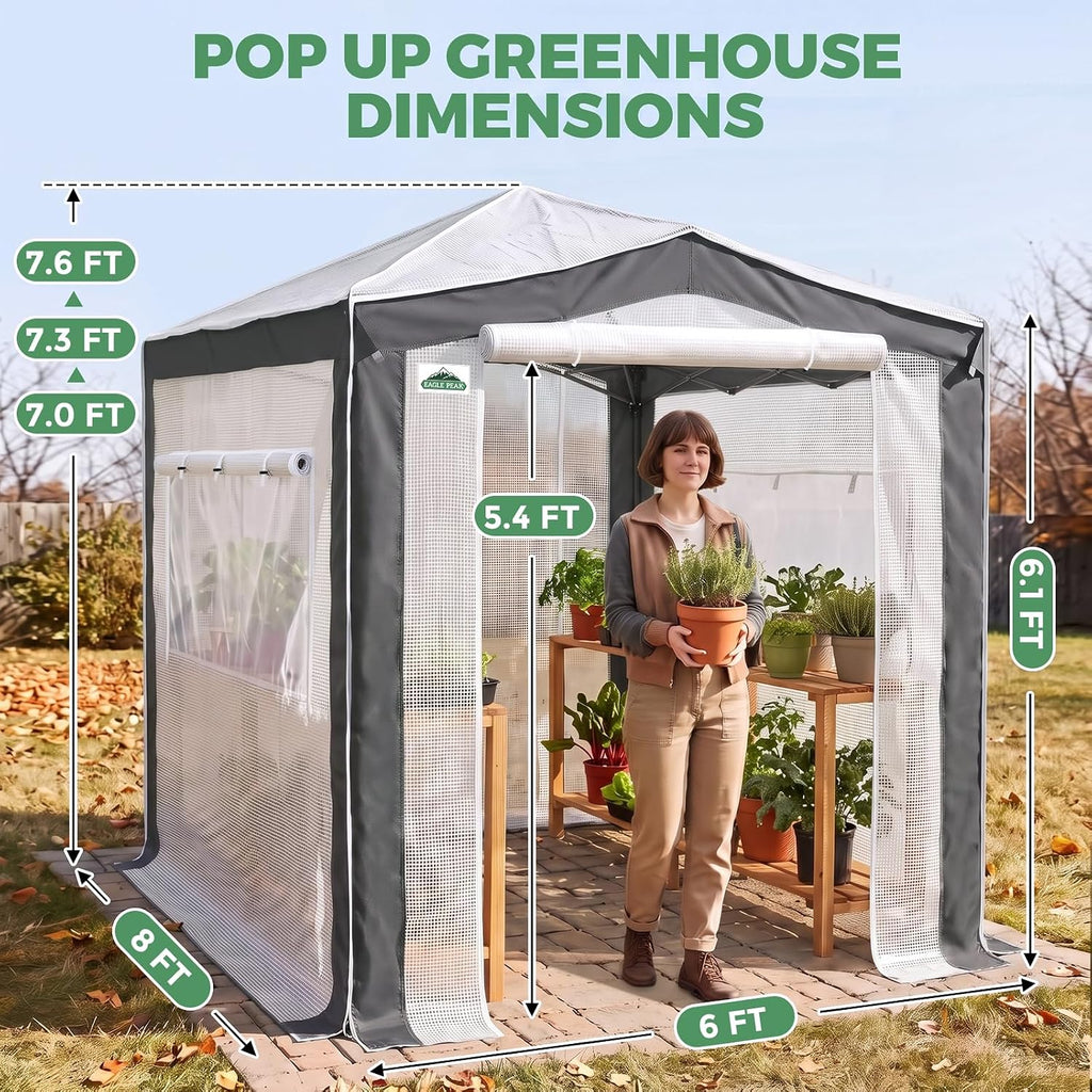EAGLE PEAK 8x6 Walk In Pop Up Greenhouse, Gray/White