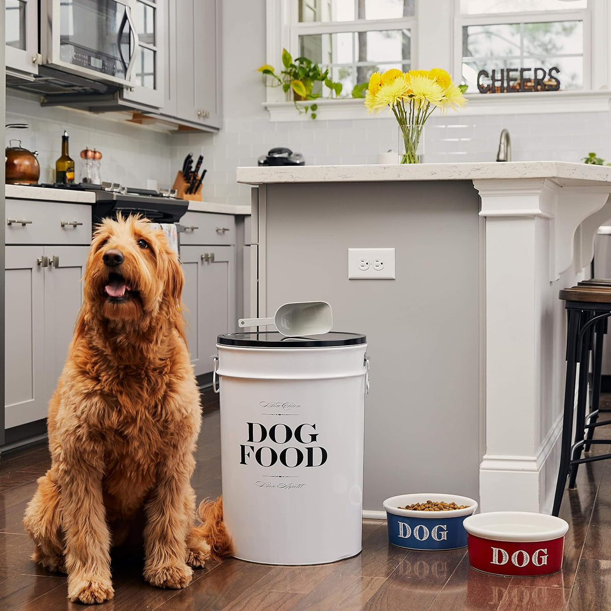 Harry Barker Bon Chien Dog Food Storage Canister – Large 11 gallon, Airtight Stainless Steel Pet Food Container, Stylish Kitchen Counter Dog Kibble