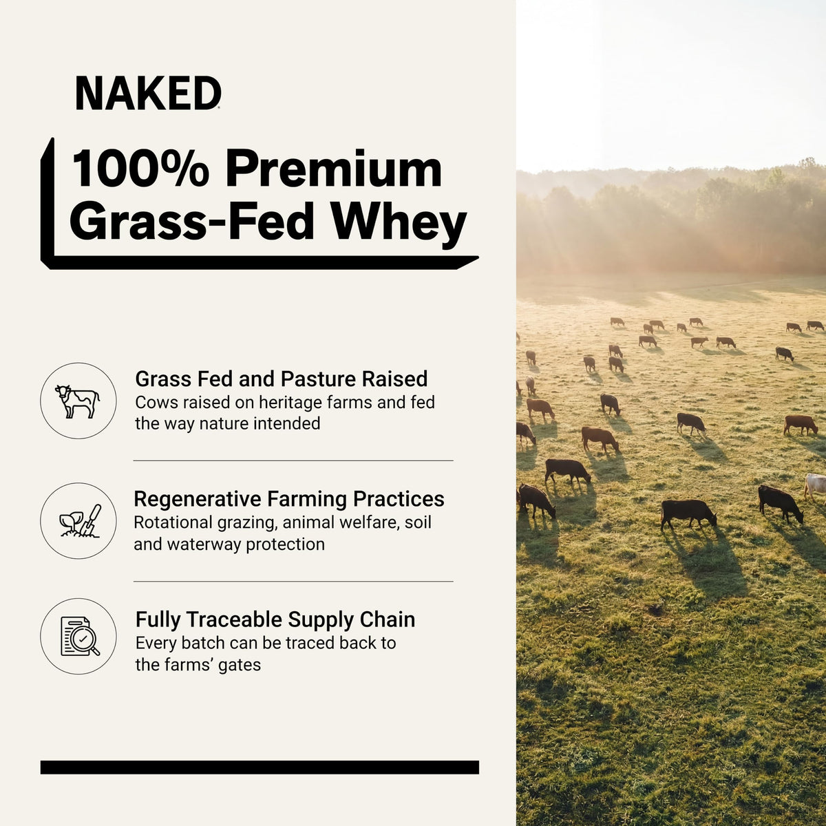 NAKED Whey 2LB 100% Grass Fed Whey Protein Powder - Only 1 Ingredient, Unflavored Whey Protein, NSF Certified, Undenatured, Gluten Free, Soy Free, No