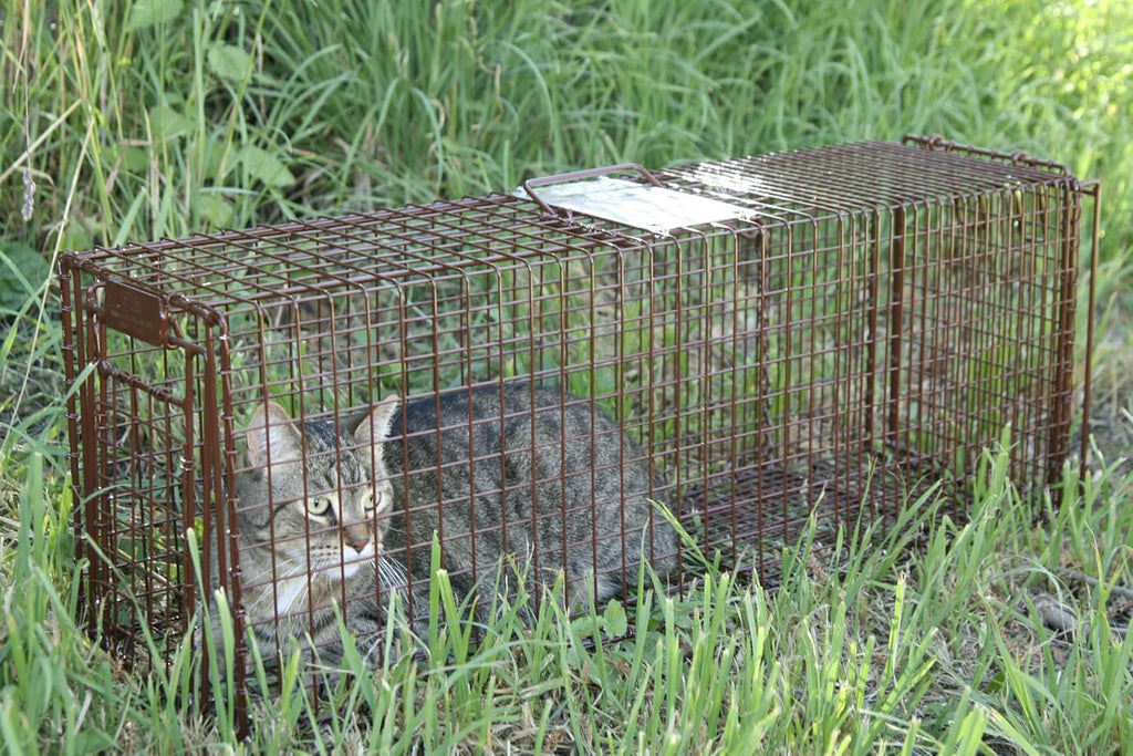 Tru Catch 30LTD Humane Live Animal Trap - Easy & Safe Catch & Release for Cats, Rabbits, & Other Small Animals - Durable Light Duty TNR - (30" L x