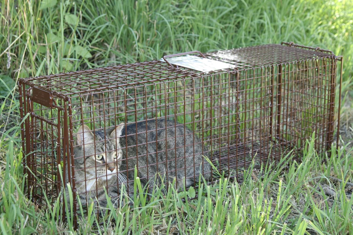 Tru Catch 30LTD Humane Live Animal Trap - Easy & Safe Catch & Release for Cats, Rabbits, & Other Small Animals - Durable Light Duty TNR - (30" L x