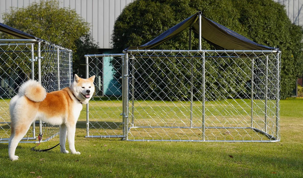 Petony Large Outdoor Dog Enclosure,Heavy Duty Dog Kennel with Roof,Galvanized Steel Dog Cage Fence with Double Safety Locks(79" L x 79" W x 65" H)