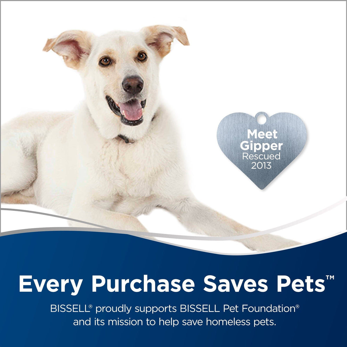 BISSELL PowerLifter Swivel Pet Rewind, Bagless, Upright Vacuum, Pet Friendly, Triple Action Brush Roll, Automatic Cord Rewind, Scatter Free