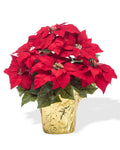Table Top Silk Poinsettia Plant